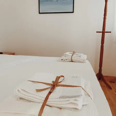 Swan Rent * Avlonya