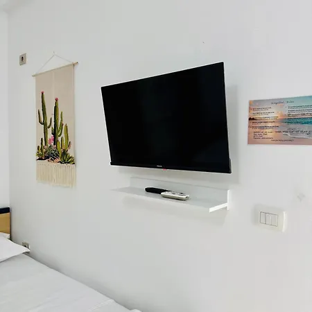 Swan Rent * Avlonya