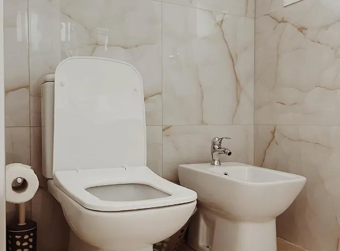 Swan Rent فلورا