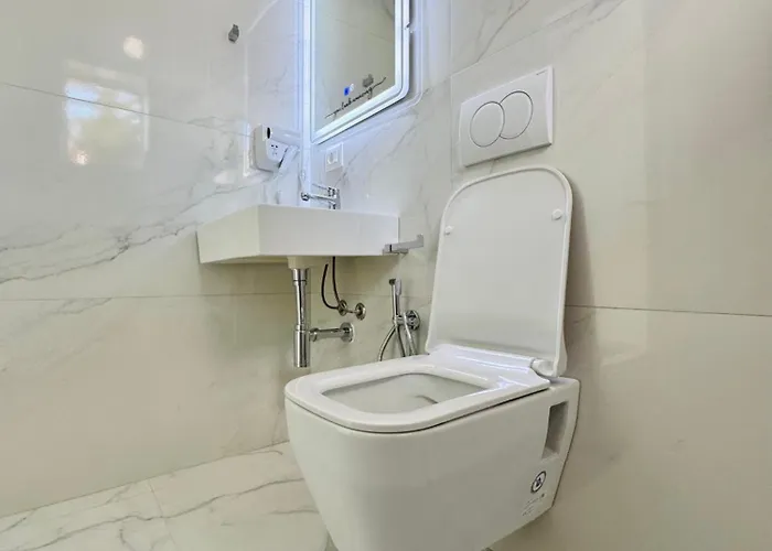 Swan Rent *