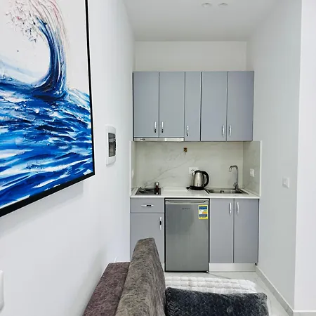 דירה Swan Rent