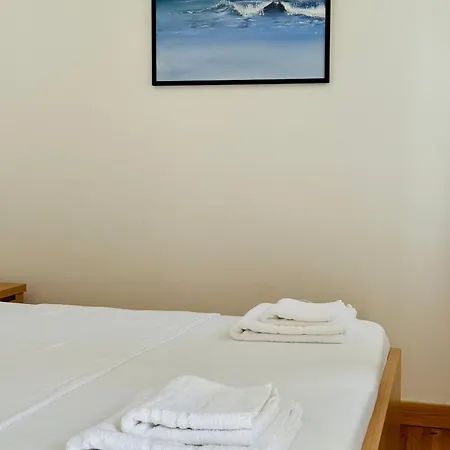 Swan Rent *